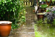 Стійкі дренажні системи: захист вашого будинку та збереження його цінності