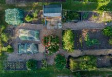 Почніть планувати свій город зараз – не чекайте весни