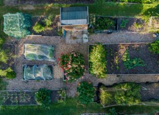 Mulailah Merencanakan Taman Anda Sekarang—Jangan Menunggu Musim Semi