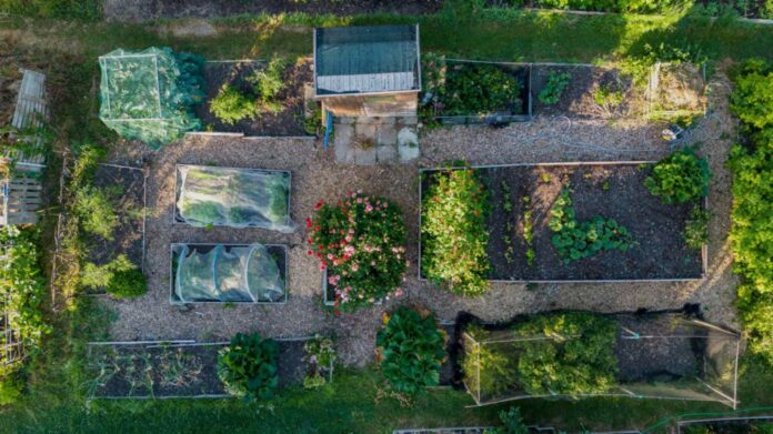 199344d0-9ef8-49a3-8e7b-7b62cde4fbe2