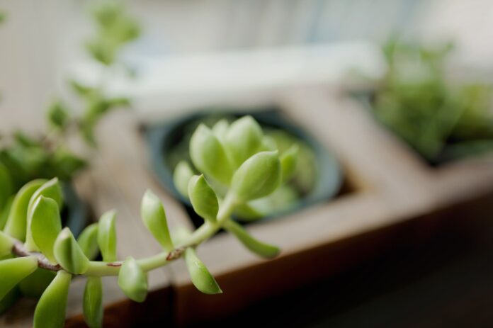 2144489a-3279-43d5-9f4a-6af156cba617