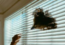 Зимовий пил: чому він накопичується та як з ним боротися