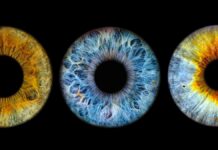 Розподіл Кольори Око у Людей: Глобальний Огляд