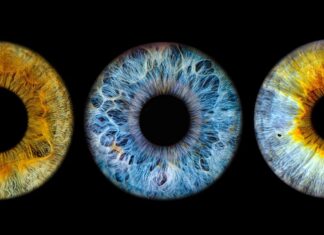 Distribusi Warna Mata Manusia: Tinjauan Global