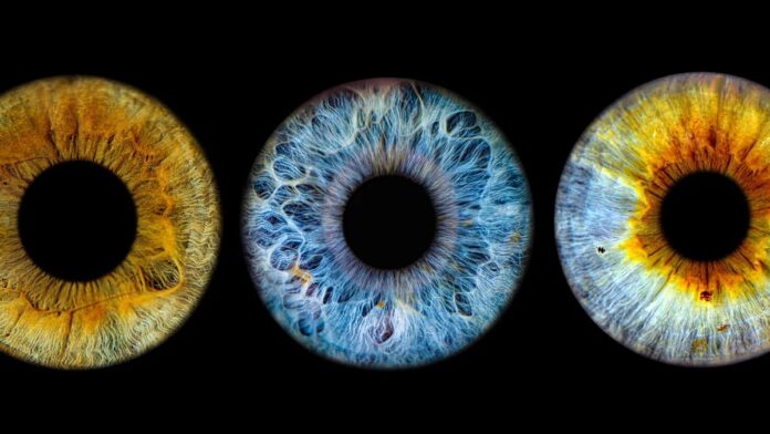 4ddefd40-8fc9-4574-8e1d-31726853b2c1