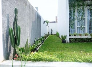 Transforming the Neglected Side Yard: 25 Creative Design Strategies