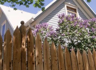 Cómo arreglar una cerca de madera podrida: reparaciones de postes, rieles y tablas
