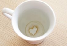Cómo quitar las manchas rebeldes de café y té de tu taza favorita