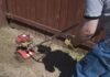 Perawatan penggilingan rumput: pembersihan, penggilingan, perawatan mesin