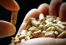 При зростанні витрат на енергію, чому каміни на пелетах є розумним та екологічно чистим варіантом опалення
